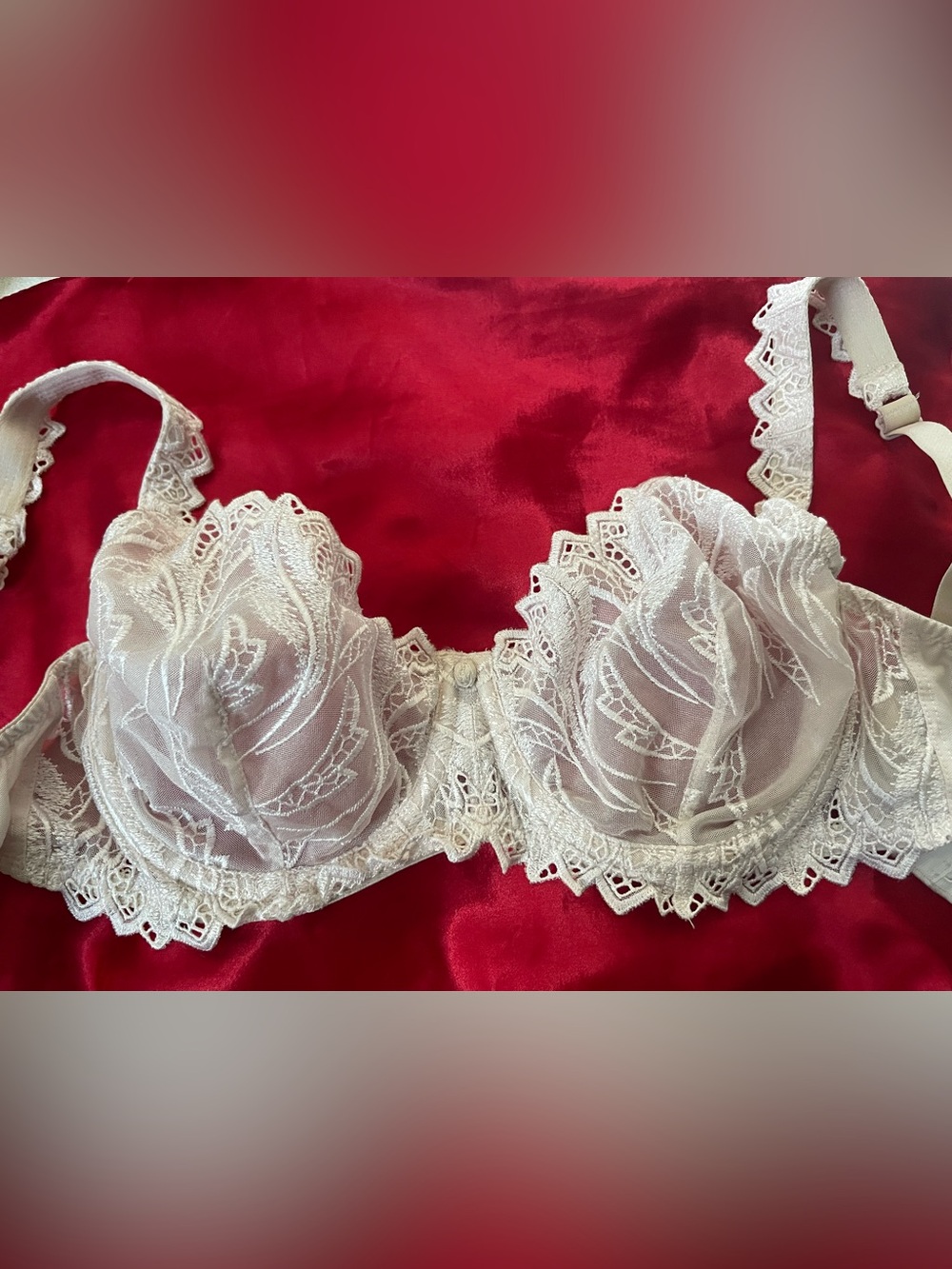 Bali Sheer Lace Bra Size 36C